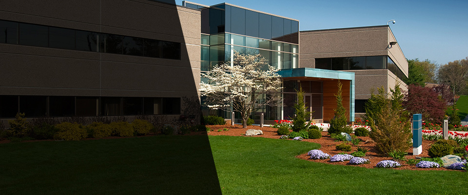 San Marino Landscapers