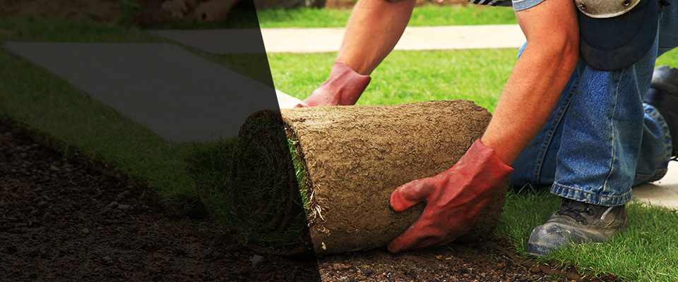 San Marino Landscapers